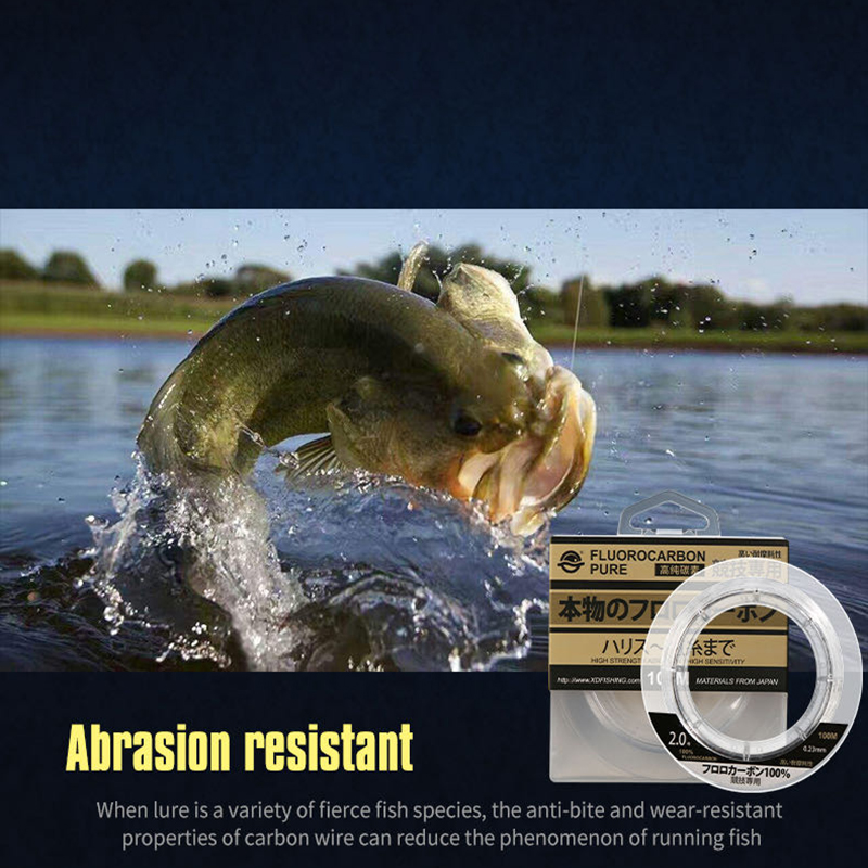 99% Fluorocarbon lenza 100M gi - Fluorocarbon Line recensione e prezzo